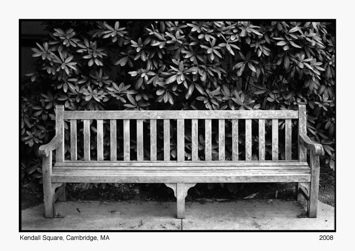 Wooden Bench