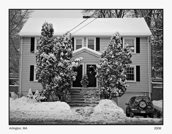 Snowy Junipers