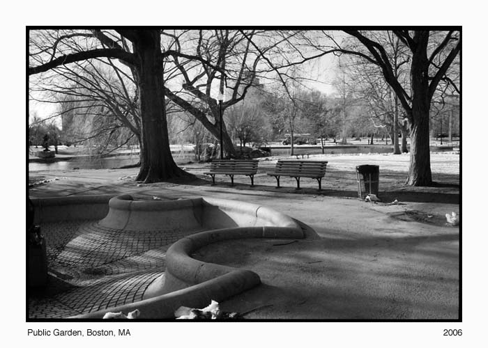 Bench in Public Garden